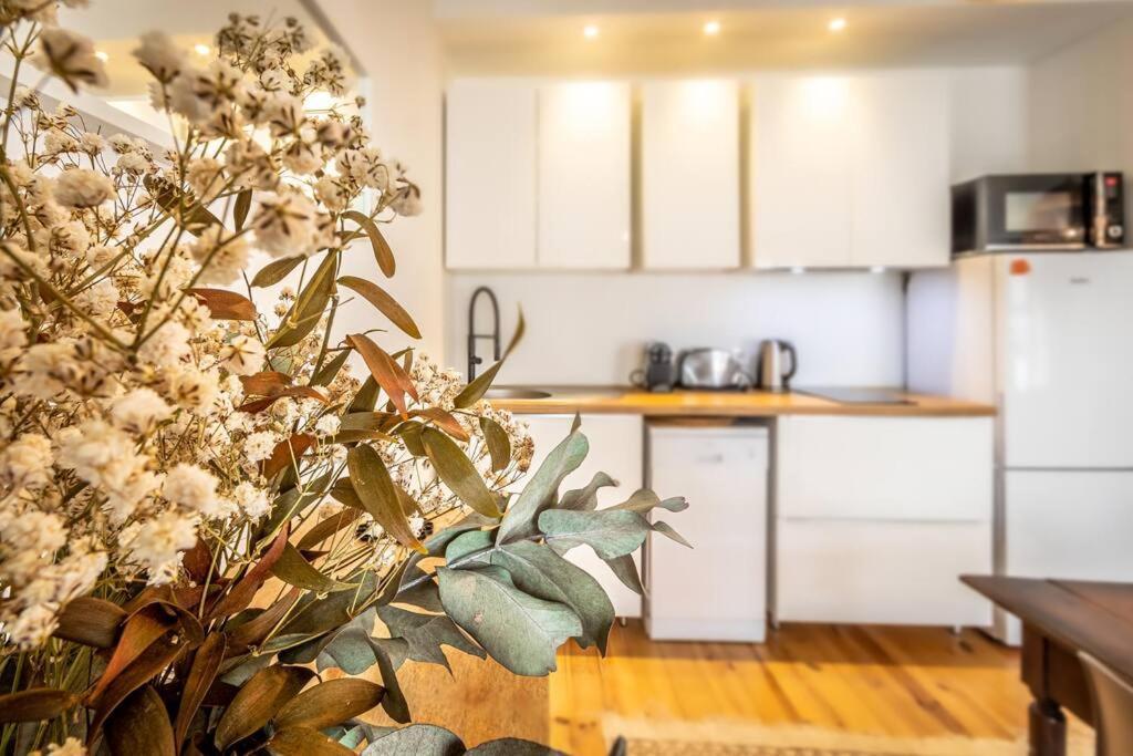Jardin Public : T3 Renove Immeuble Pierre Appartement *